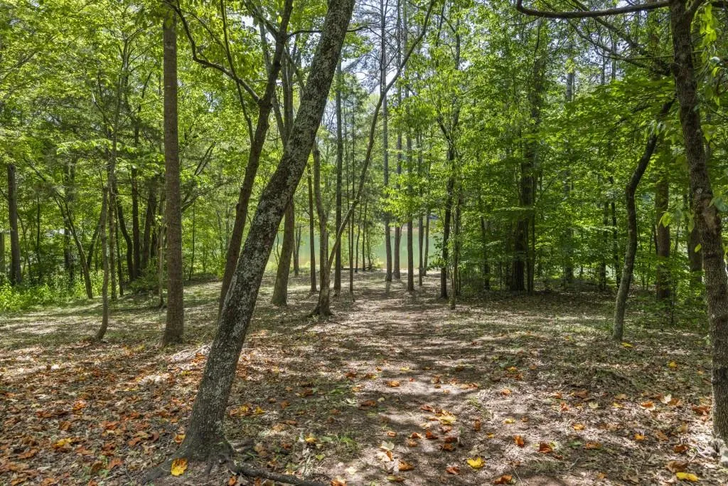 Martin, Georgia 30557, United States, 4 Bedrooms Bedrooms, ,4 BathroomsBathrooms,Residential,Pending,176310