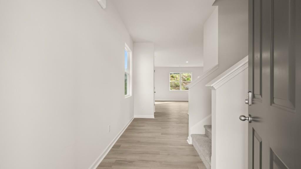 232 Lower Dogwood Court
