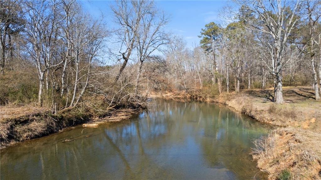 Blacks Bluff Road, Cave Spring, Georgia image 15