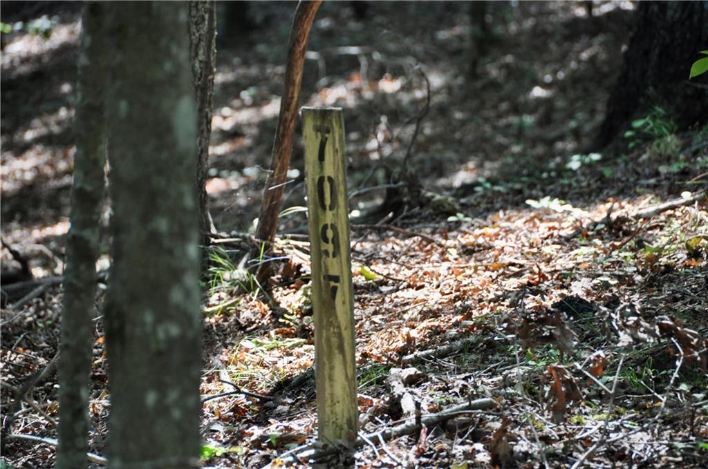 7097 Pine Knoll, Big Canoe, Georgia image 3