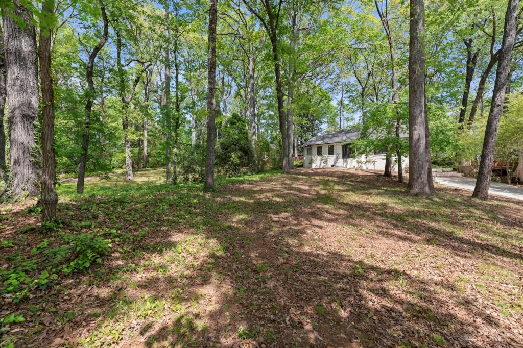 3915 Ivy Road, Atlanta, Georgia image 41