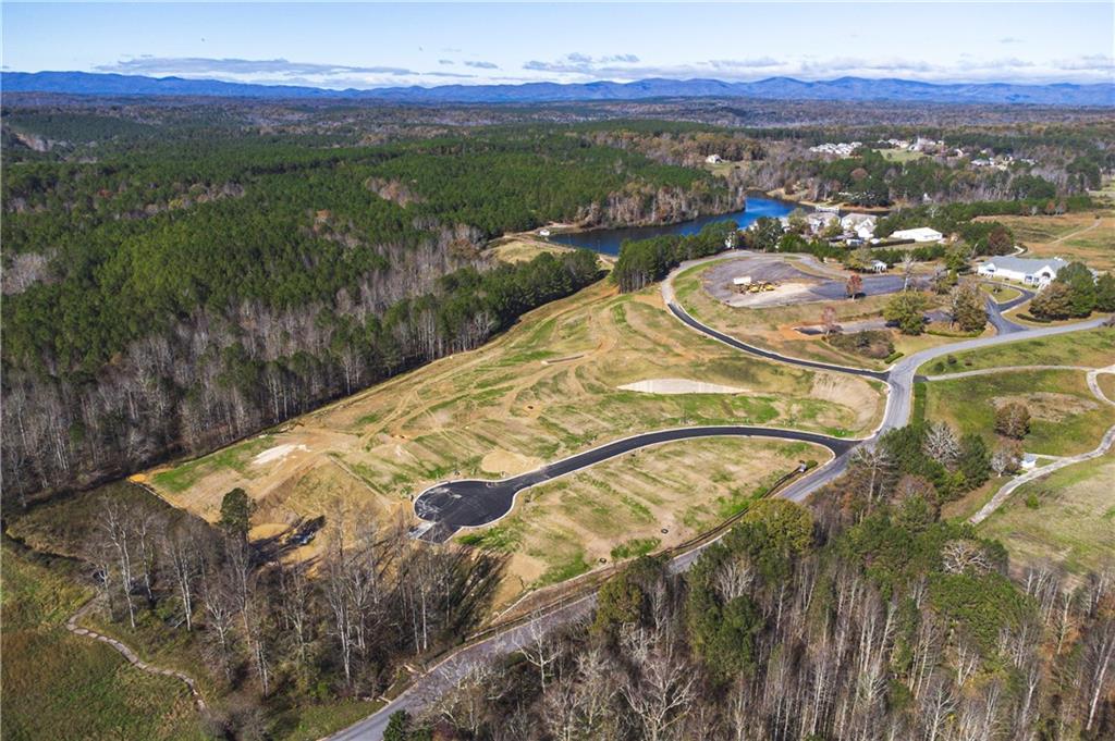 62 Gold Dust Drive, Dawsonville, Georgia image 6