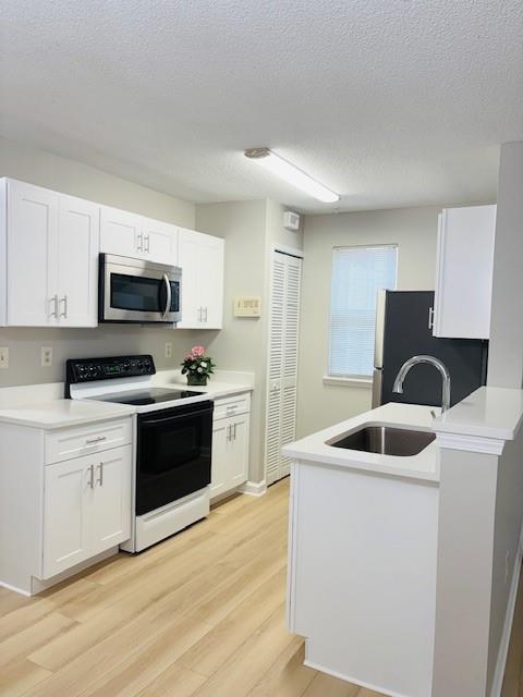1106 Sandy Lane Drive 206