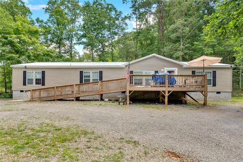 196 Whitestone Drive Talking Rock GA 30175