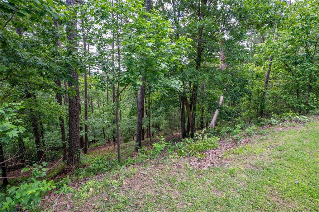 25 Sunset Ridge, Cartersville, Georgia image 16