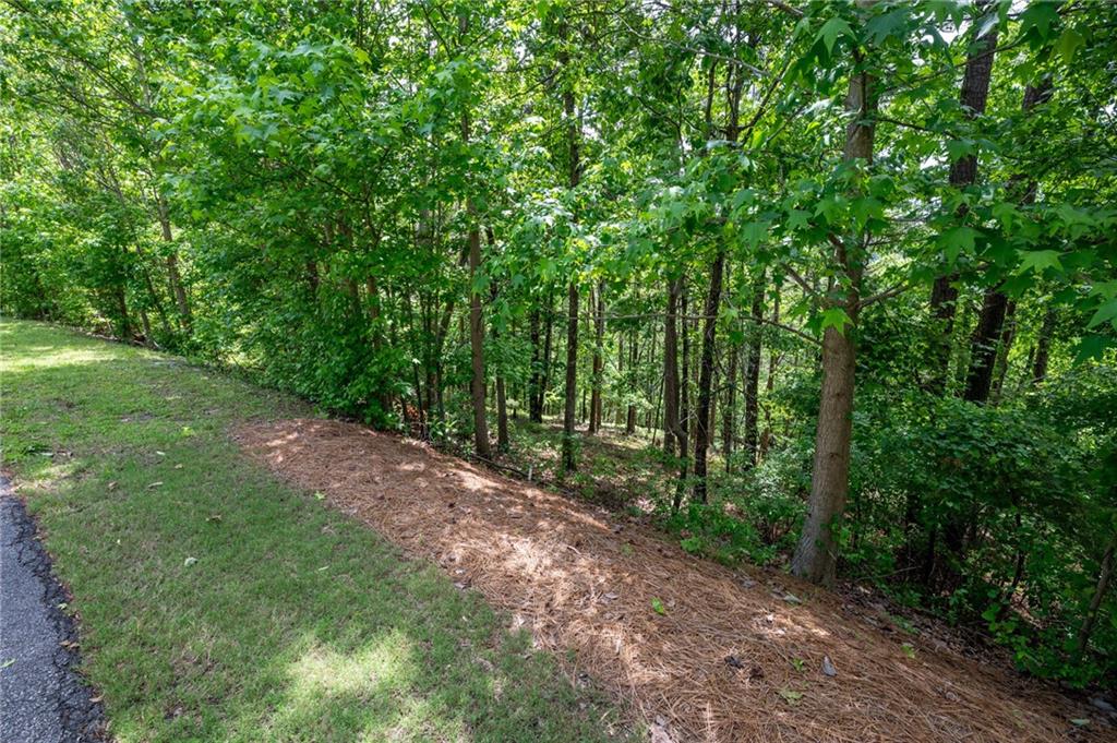 25 Sunset Ridge, Cartersville, Georgia image 12