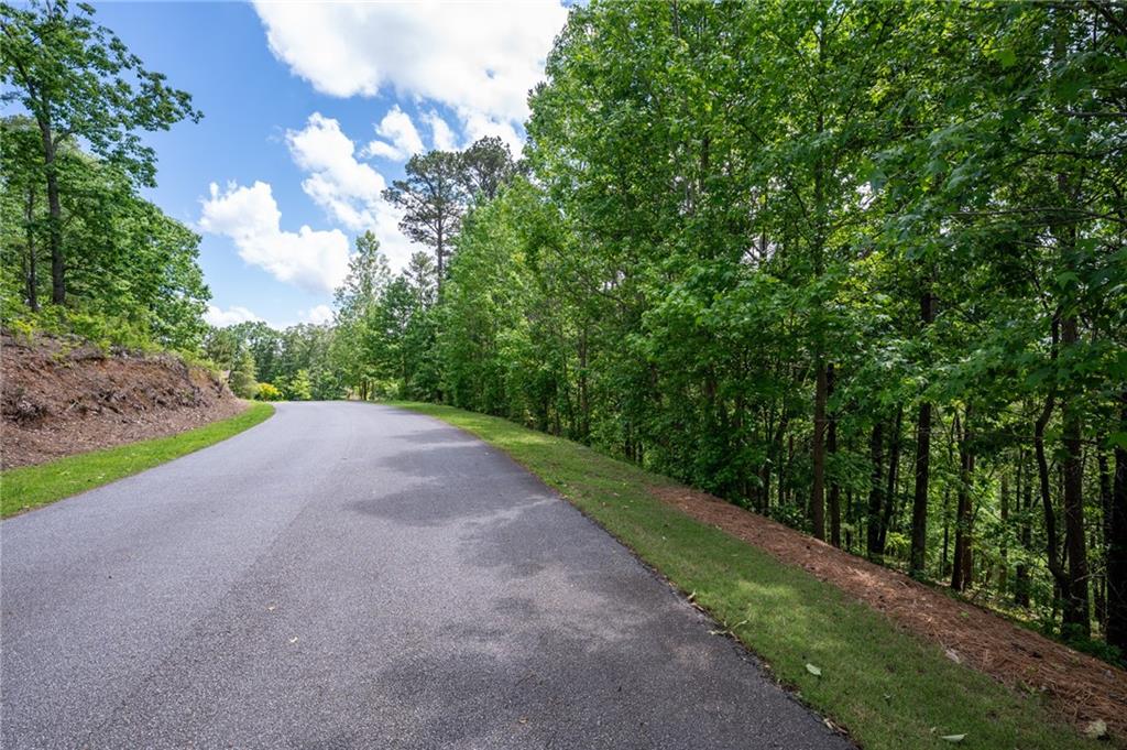 25 Sunset Ridge, Cartersville, Georgia image 9