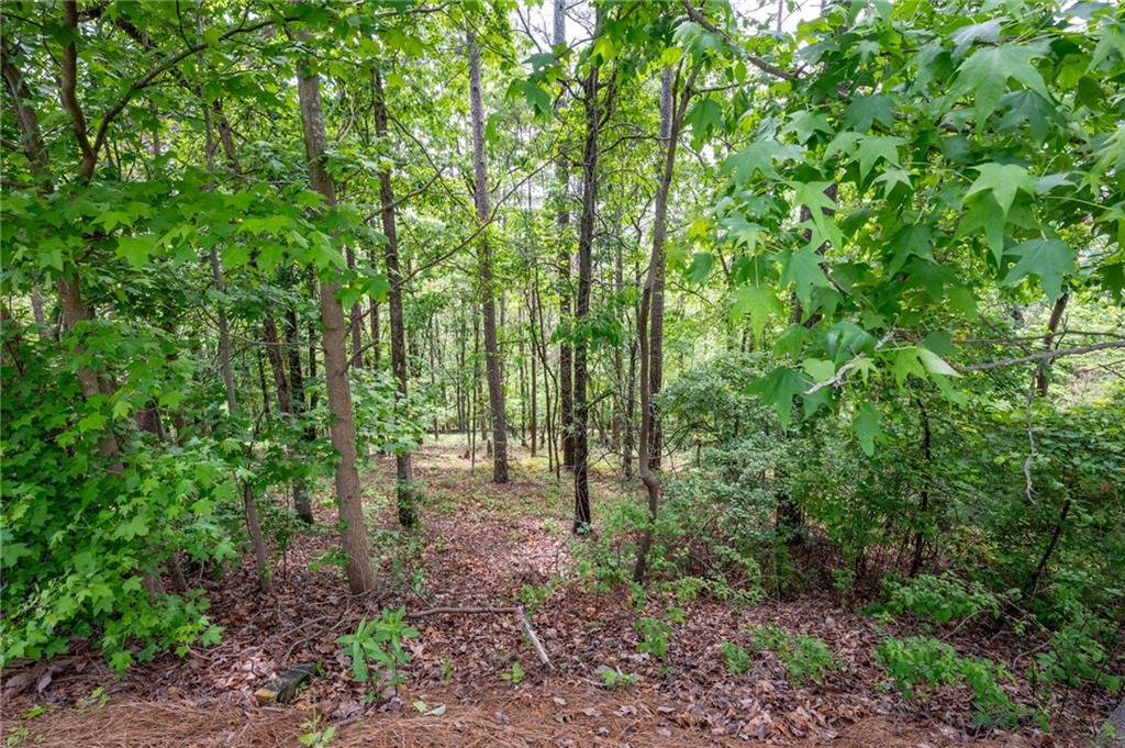25 Sunset Ridge, Cartersville, Georgia image 11