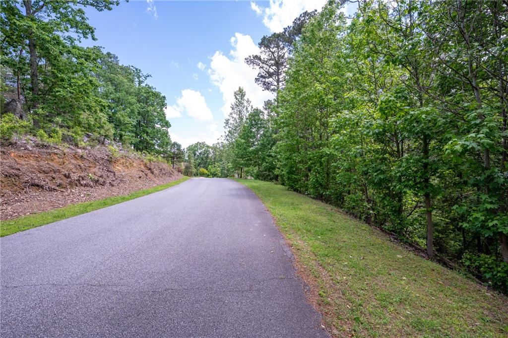 25 Sunset Ridge, Cartersville, Georgia image 10