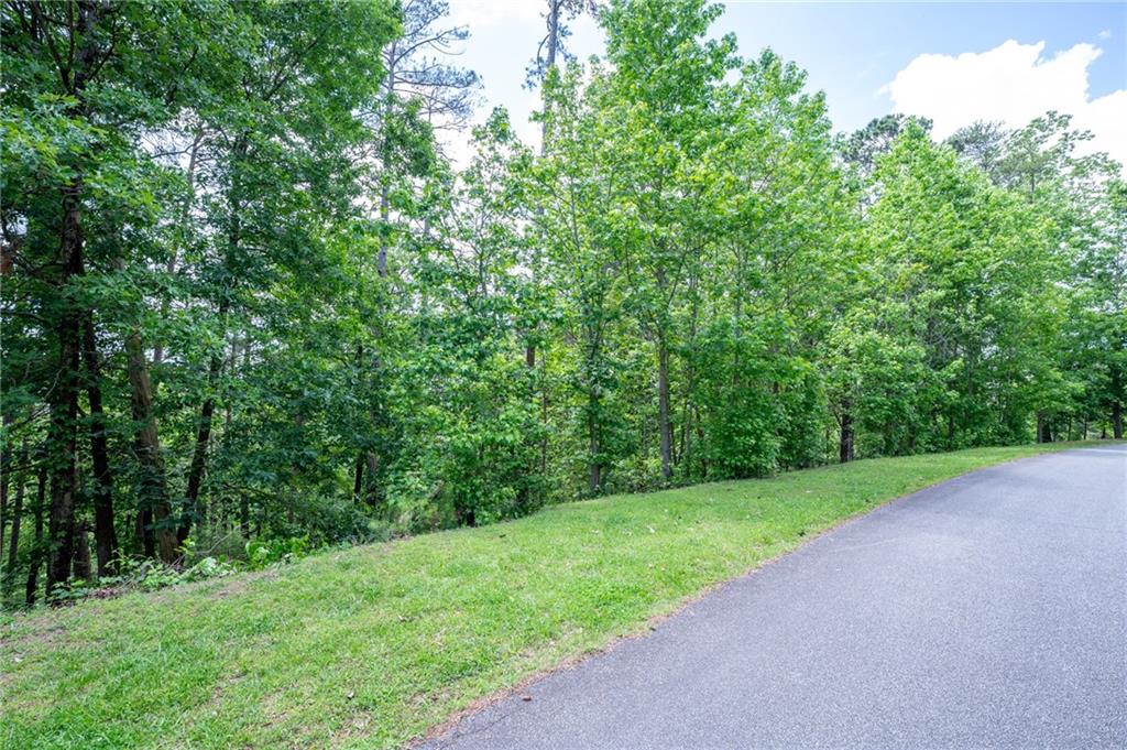 25 Sunset Ridge, Cartersville, Georgia image 13