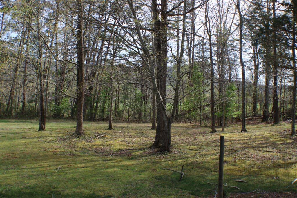 512 E Valley Road, Rydal, Georgia image 45