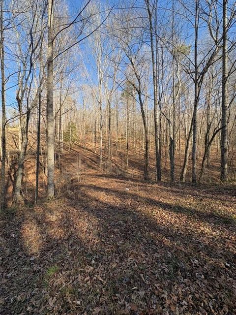 Vacant Land For Sale - Gold View Drive<br/> Dahlonega, GA 30533