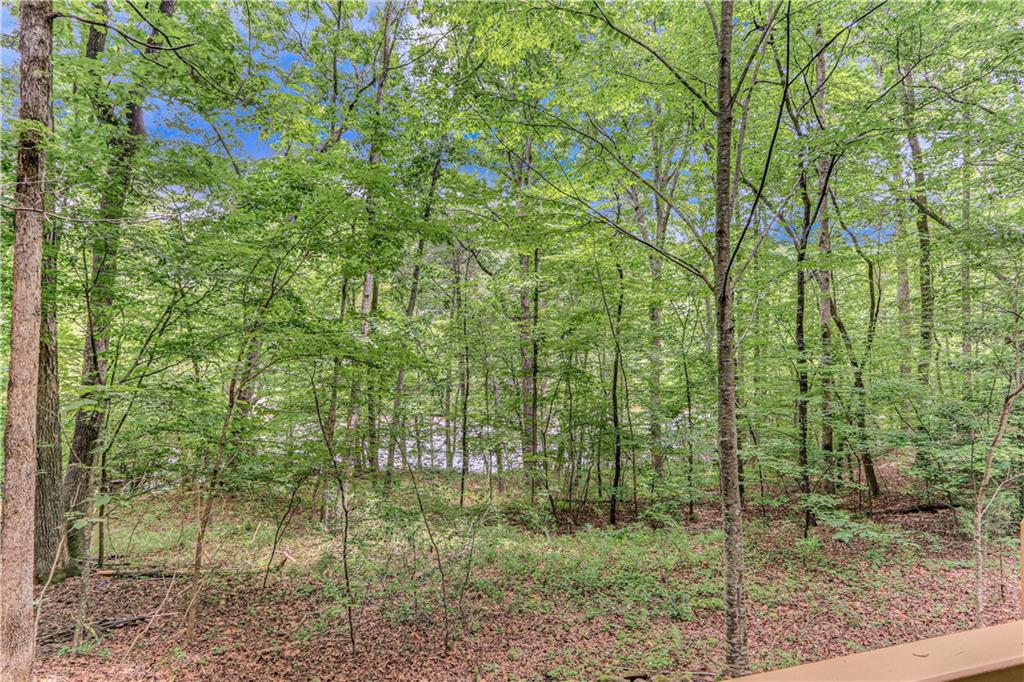 725 Old H Kinsey Wagon Road, Cleveland, Georgia image 34
