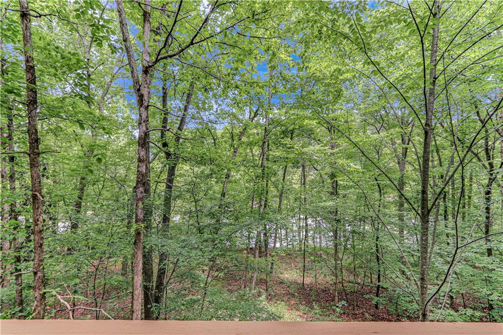 725 Old H Kinsey Wagon Road, Cleveland, Georgia image 12