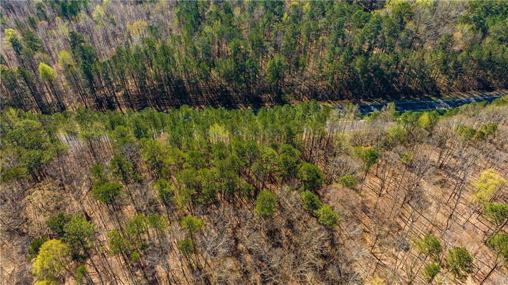 Highway 92, Fairburn, Georgia image 3
