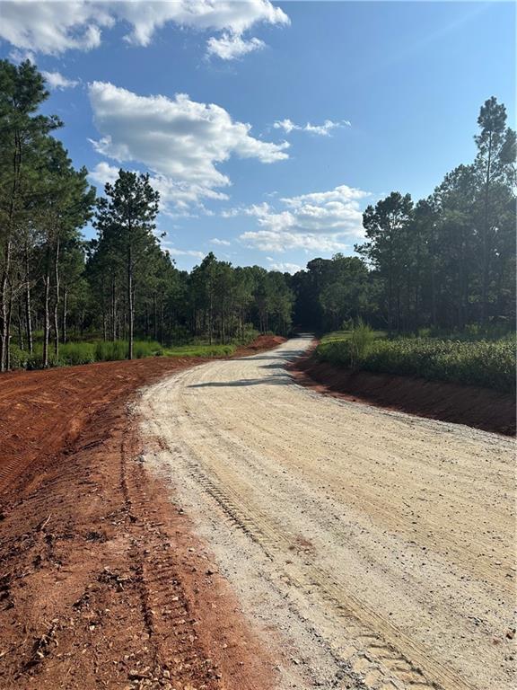 Watkins Farm Road, Nicholson, Georgia image 9