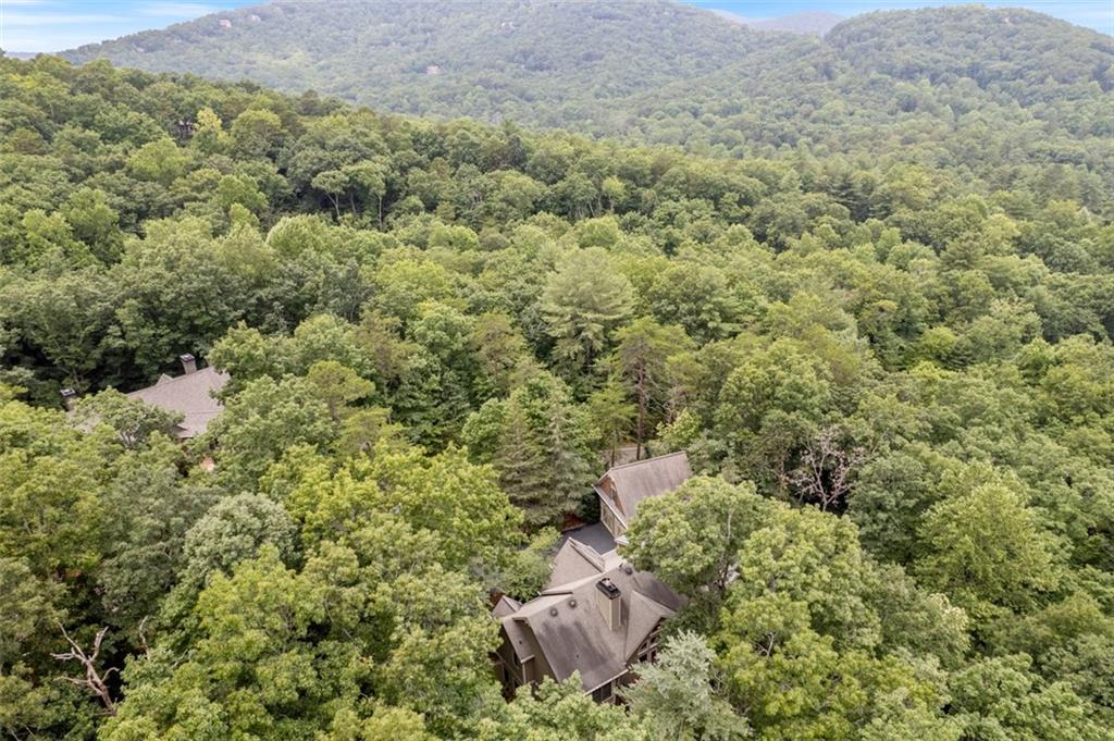 82 Blazingstar Lane, Big Canoe, Georgia image 49