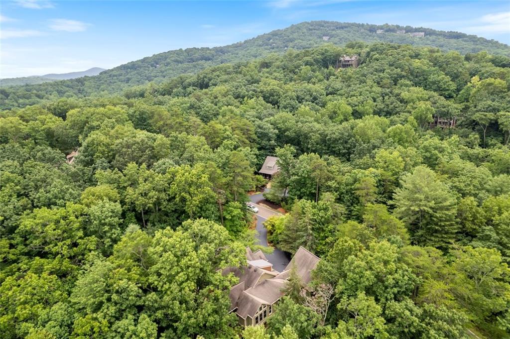 82 Blazingstar Lane, Big Canoe, Georgia image 50