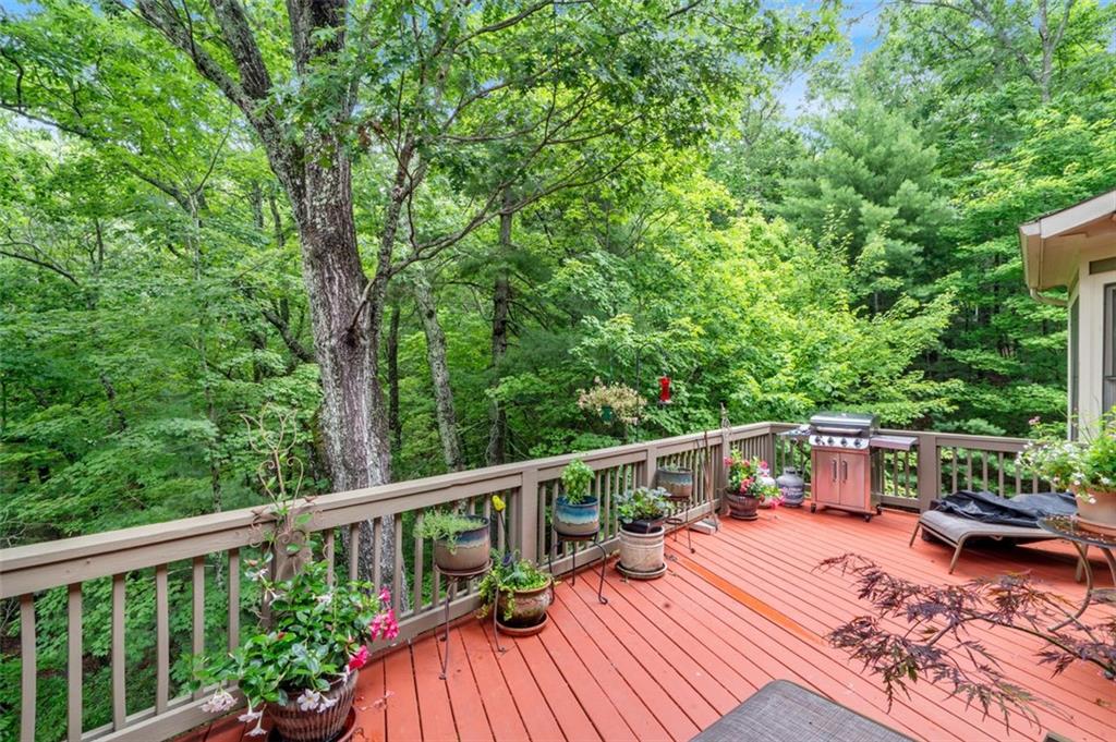 82 Blazingstar Lane, Big Canoe, Georgia image 19