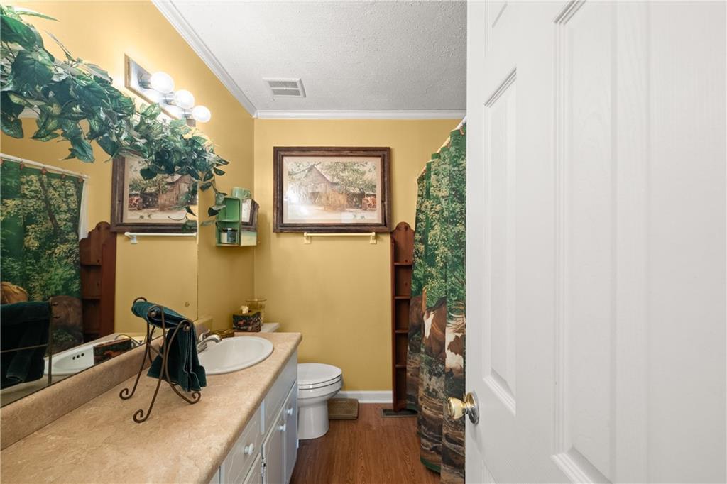 6029 Hulsey Road, Clermont, Georgia image 24
