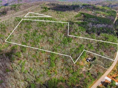 Vacant Land For Sale - 64 Bull Gap Road<br/> Talking Rock, GA 30175