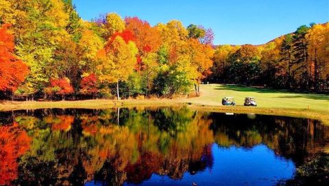 Vacant Land For Sale - Shadowick Mountain Road<br/> Jasper, GA 30143