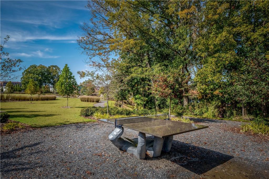 470 Heatherden Avenue, Fayetteville, Georgia image 48