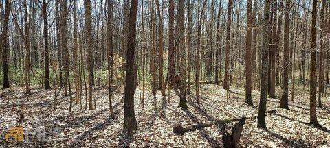 Vacant Land For Sale - 3195 Davis Academy Road<br/> Rutledge, GA 30663