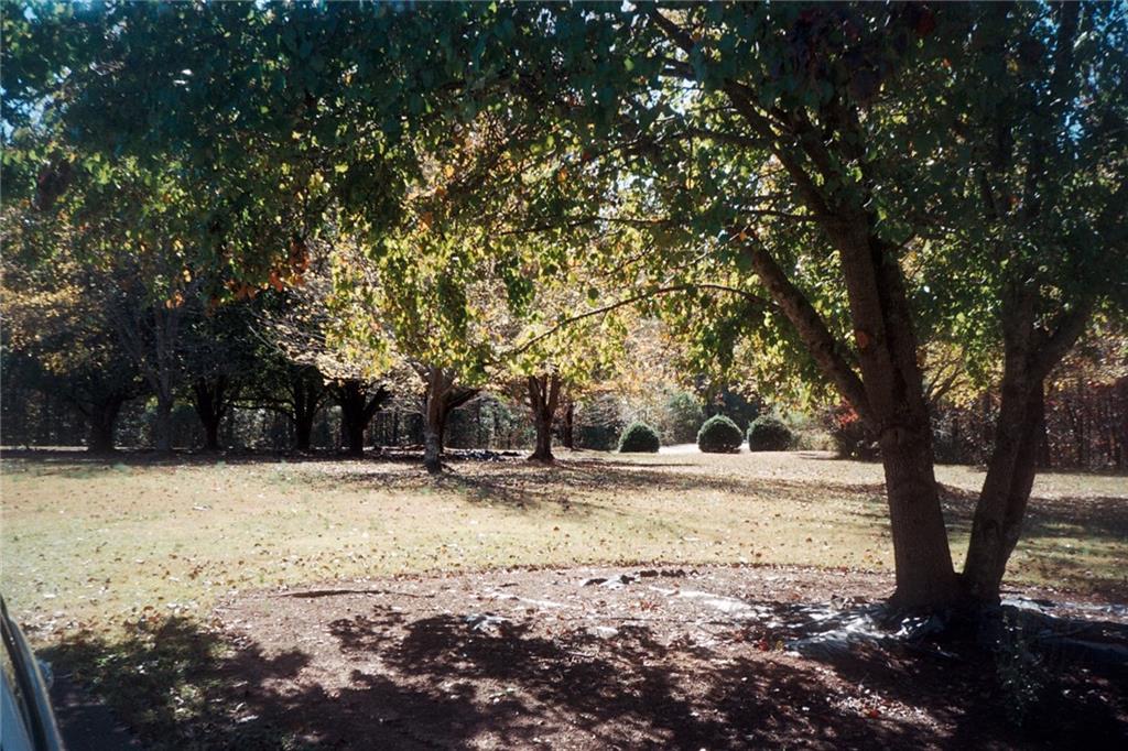 5301 L J Martin Drive, Gainesville, Georgia image 2