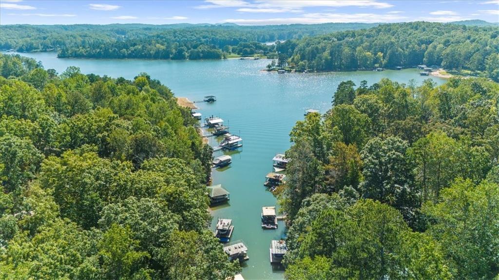 Lake Lanier w/ Acreage + Dock - Residential