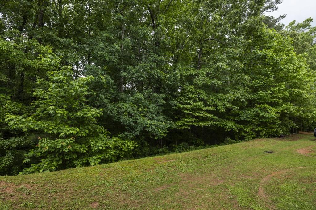 4457 Watson Ridge Drive, Stone Mountain, Georgia image 24