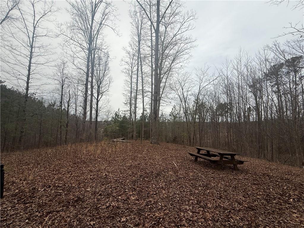 Salacoa Road, Fairmount, Georgia image 7