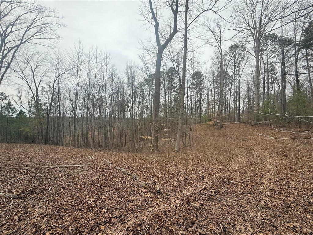 Salacoa Road, Fairmount, Georgia image 5