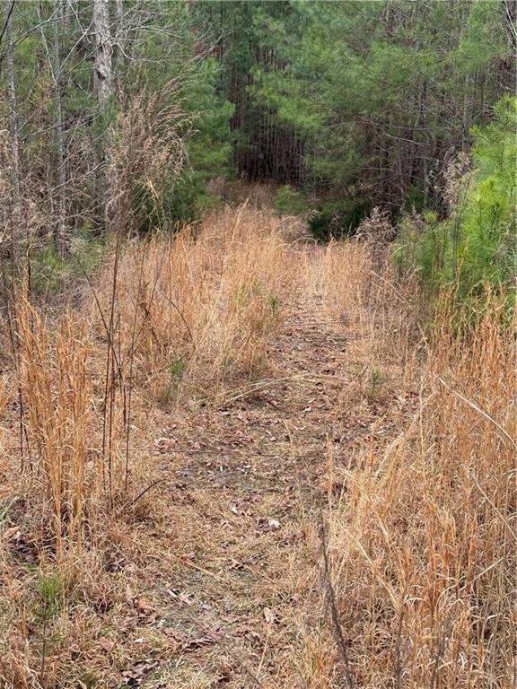 Salacoa Road, Fairmount, Georgia image 10