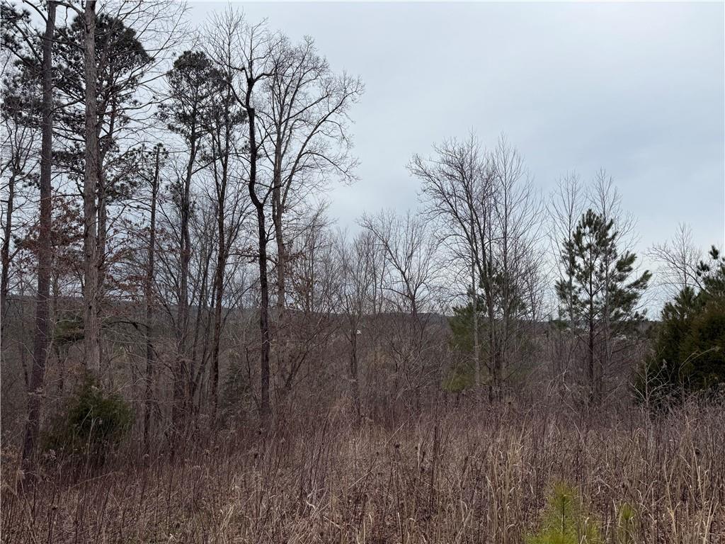 Salacoa Road, Fairmount, Georgia image 9