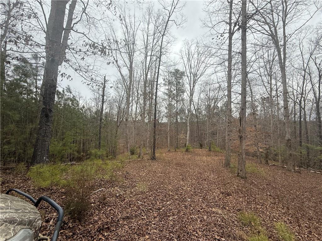 Salacoa Road, Fairmount, Georgia image 6