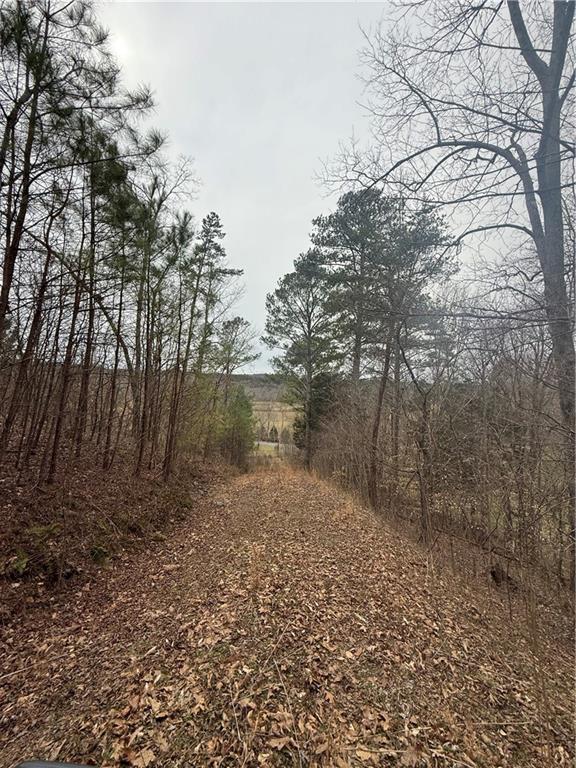 Salacoa Road, Fairmount, Georgia image 4