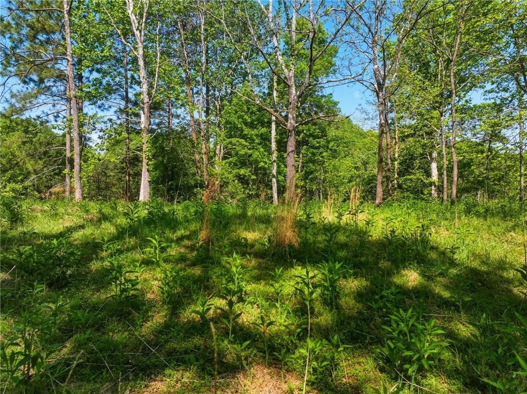 Lot 1 Summit Drive