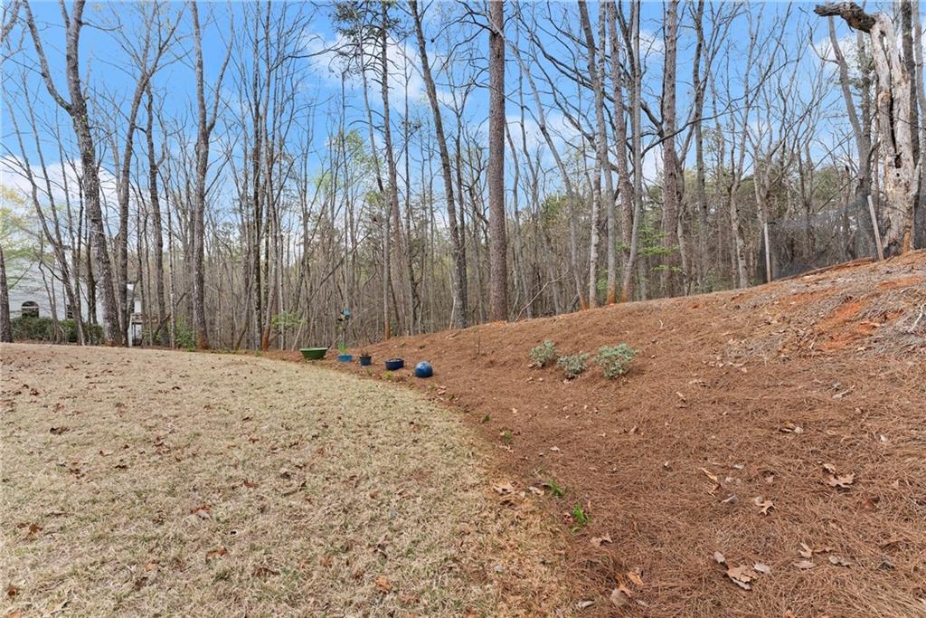 77 Jacoby Drive, Fairburn, Georgia image 47