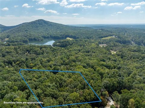 Vacant Land For Sale - 1205 Coachwhip Court<br/> Jasper, GA 30143