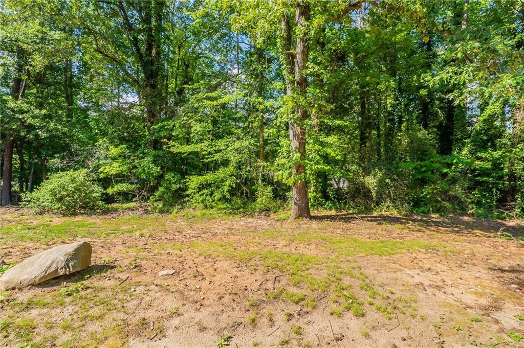 5326 Rocky Pine Drive, Lithonia, Georgia image 21