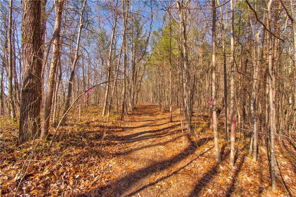 500 Chapman Ridge Lane Rd, Dahlonega, Georgia image 3