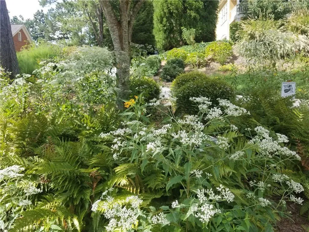 Duluth, Georgia 30097, United States, 4 Bedrooms Bedrooms, ,4 BathroomsBathrooms,Residential,Active,173272