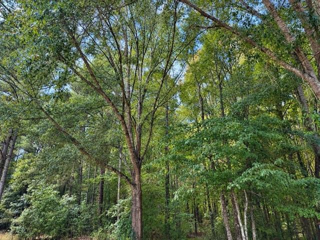 1410 Al Roberts Road