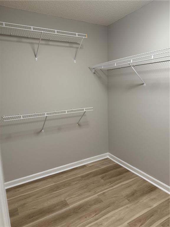 Willow Tree - Residential Lease