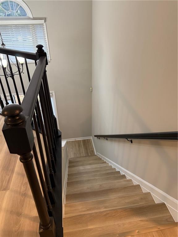 Willow Tree - Residential Lease