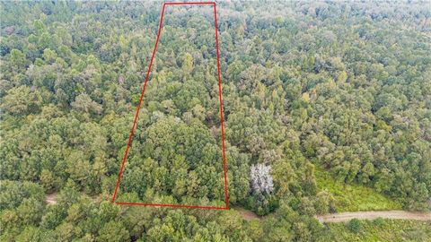 Vacant Land For Sale - Willow Creek Drive<br/> Macon County, Oglethorpe, GA 31068
