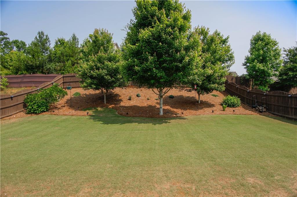 9834 Elderberry Pointe Pt, Braselton, Georgia image 7
