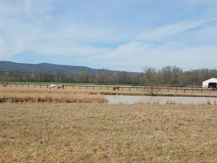 515 Hunt Bend Road, Calhoun, Georgia image 10