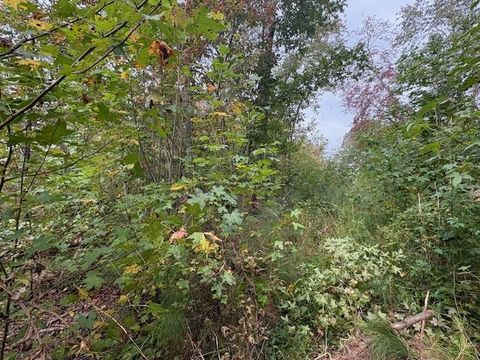 Vacant Land For Sale - LOT 1 Thompson Lane<br/> Jasper, GA 30143